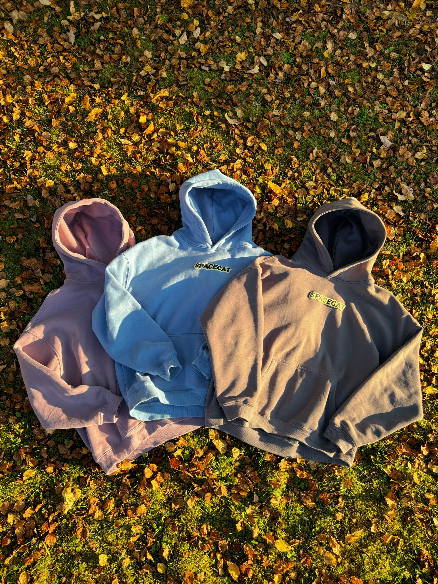 Spacecat WYD Hoodies